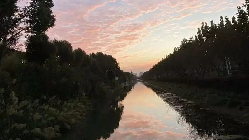 企业财税公司定制方案，价格背后的考量因素